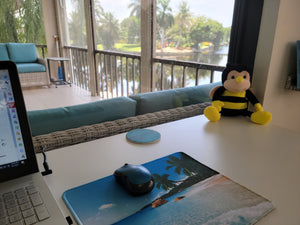 My new sidekick, Benny the Bumble Bee